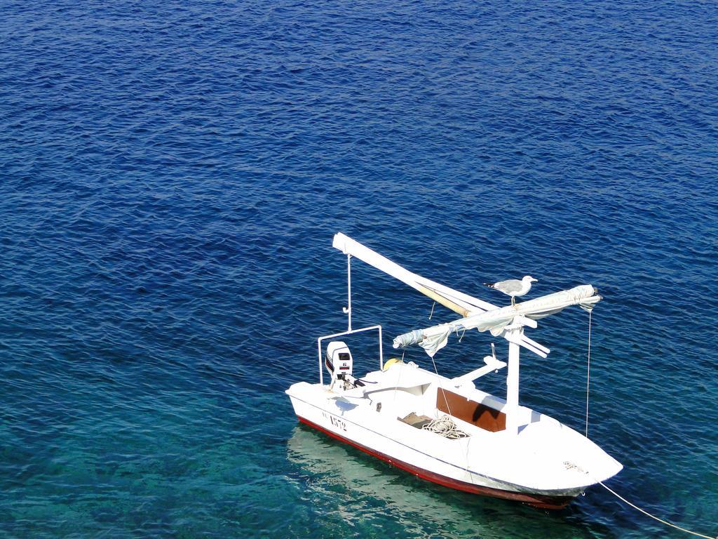 Apartment Tranquillo Vela Luka Eksteriør bilde
